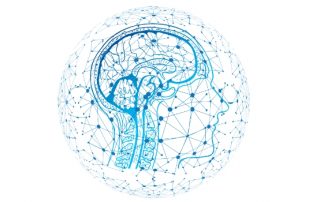 Neuromarketing-psyma