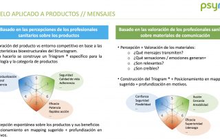 estructurograma-psyma