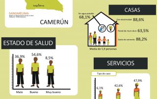 Infografía-camerun