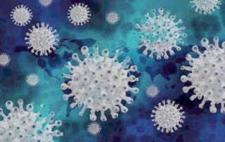 Hantavirus-crucero-virus-Andes-roedores-OMS
