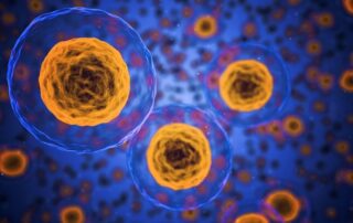 Noticias-22-06-26